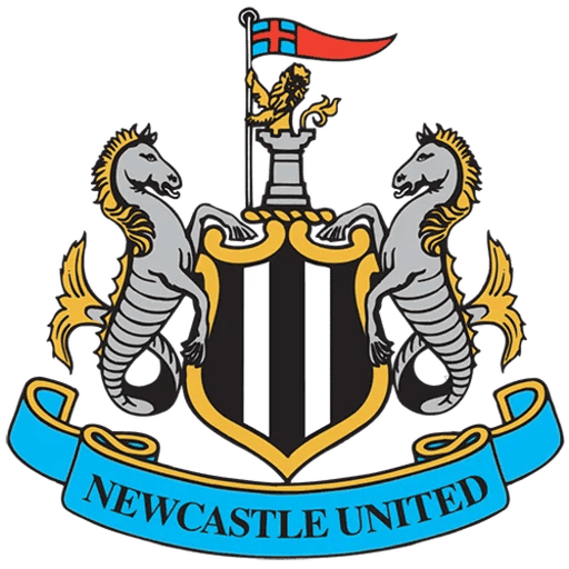 Newcastle United DLS Logo